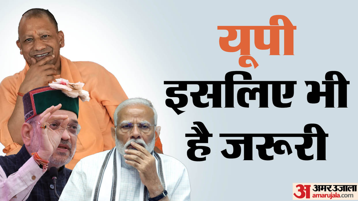 UP Lok Sabha Chunav Result 2024 Vote Percentage NDA vs INDIA Alliance and BSP Winning Seats News in Hindi