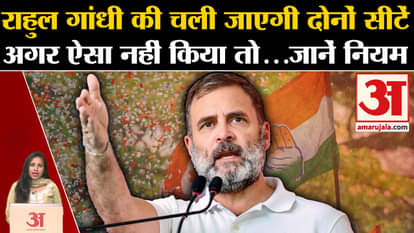Loksabha Elections Results 2024: If Rahul Gandhi does not do this, he will have to lose both the seats.
