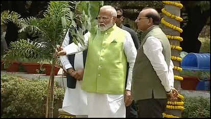 Pm Modi Launches Tree Plantation Campaign On World Environment Day News In Hindi - Amar Ujala Hindi News Live - Pm Modi:विश्व पर्यावरण दिवस पर पीएम मोदी ने की वृक्षारोपण अभियान की