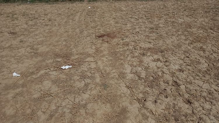 Budaun News: धारदार हथियार से काटकर किसान की हत्या, खेत में पड़ा मिला रक्तरंजित शव