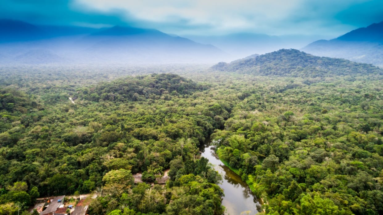 Amazon Forests: elon musks company brought internet to the amazon forests tribal youth started watching this