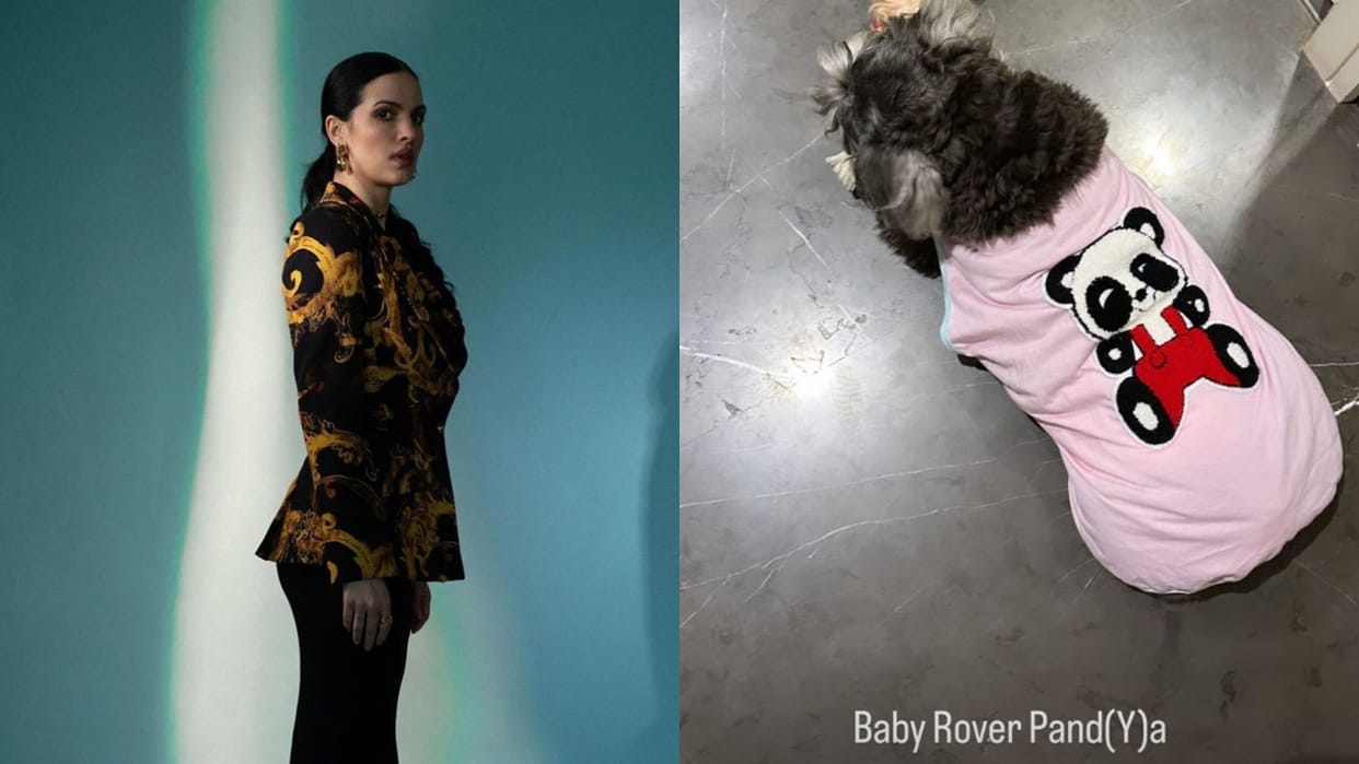 Natasa Stankovic posted her dog photo in her instagram story amidst divorce rumours wrote Baby Rover Pandya