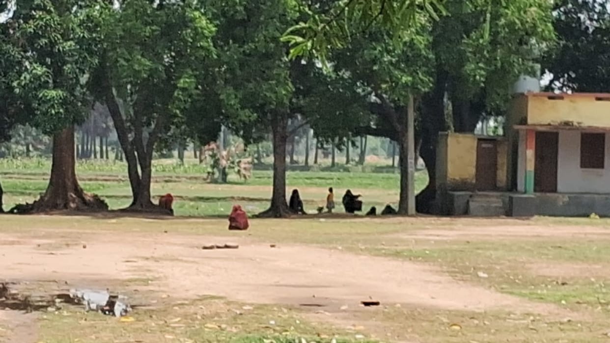 Nalanda news:  Bees attack women worshipping Vat Savitri