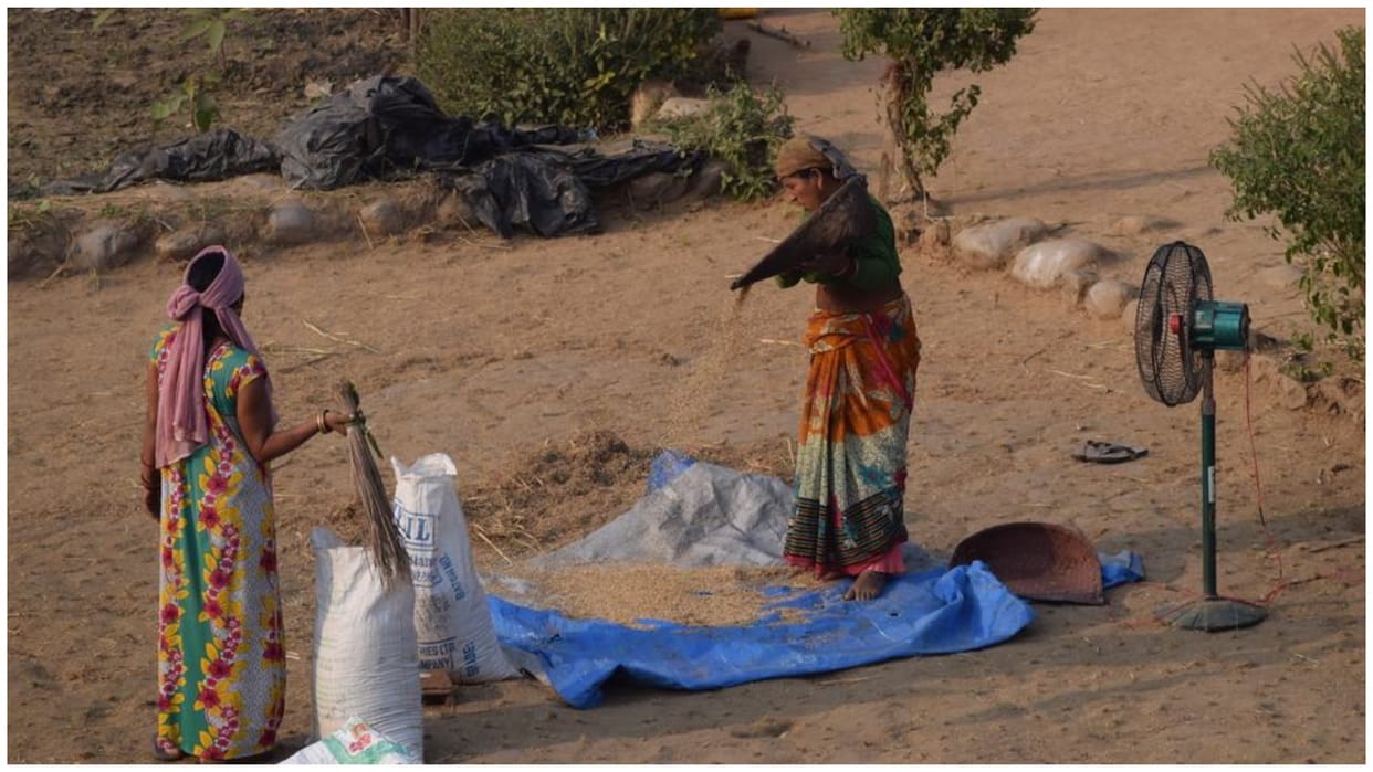 Plastic Pollution: Growing risk of plastic pollution in agriculture and aquaculture, urgent action needed
