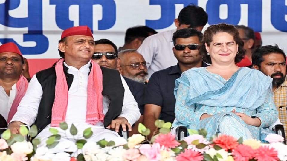 Priyanka gandhi letter to Samajwadi Party fought a historic battle in dire circumstances heartfelt gratitude t