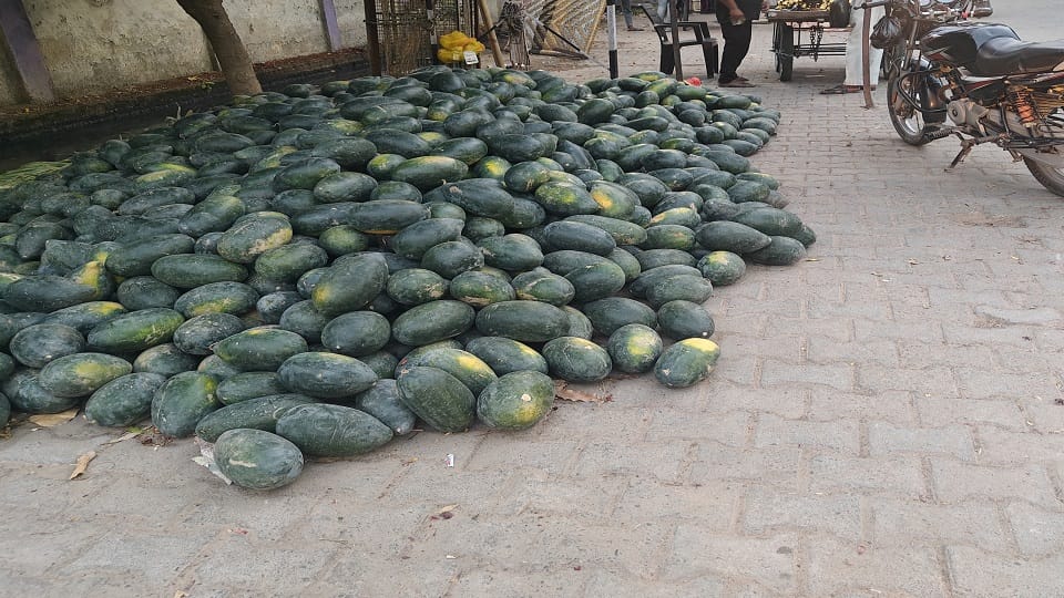 Do not eat hot or cut watermelon Know what doctors say