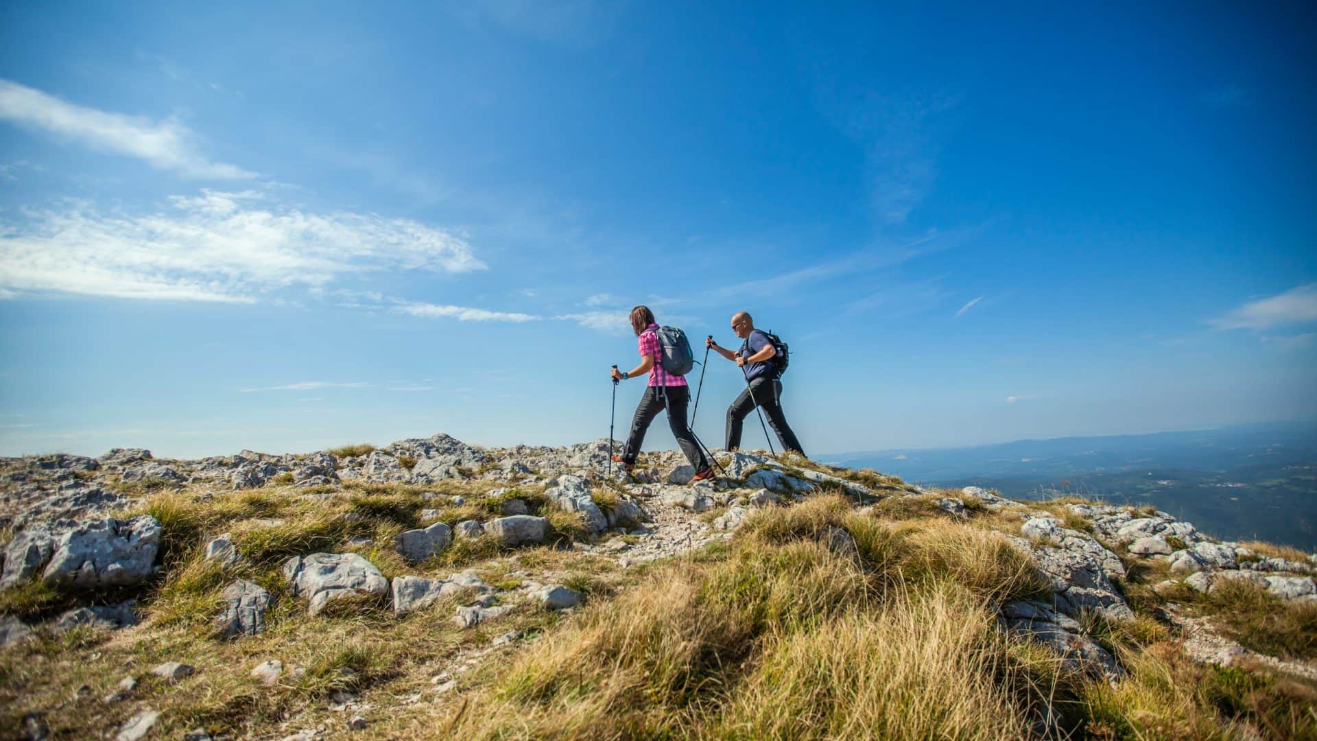 Relationship Trend Alpine Divorce Kya Hai Meaning And Effects in Hindi