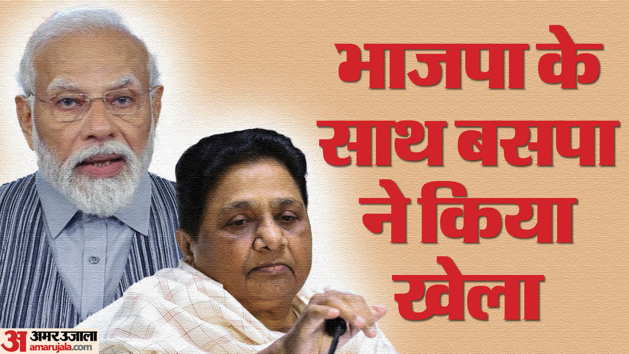UP Election Result 2024 BSP candidates had an impact on five seats of Bareilly division and two seats of Kheri
