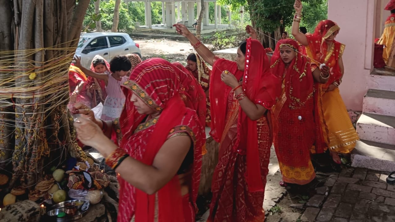 Vat Savitri Vrat 2025 Significance Know Why Married Women Worship Banyan Tree Vat Vriksh Puja