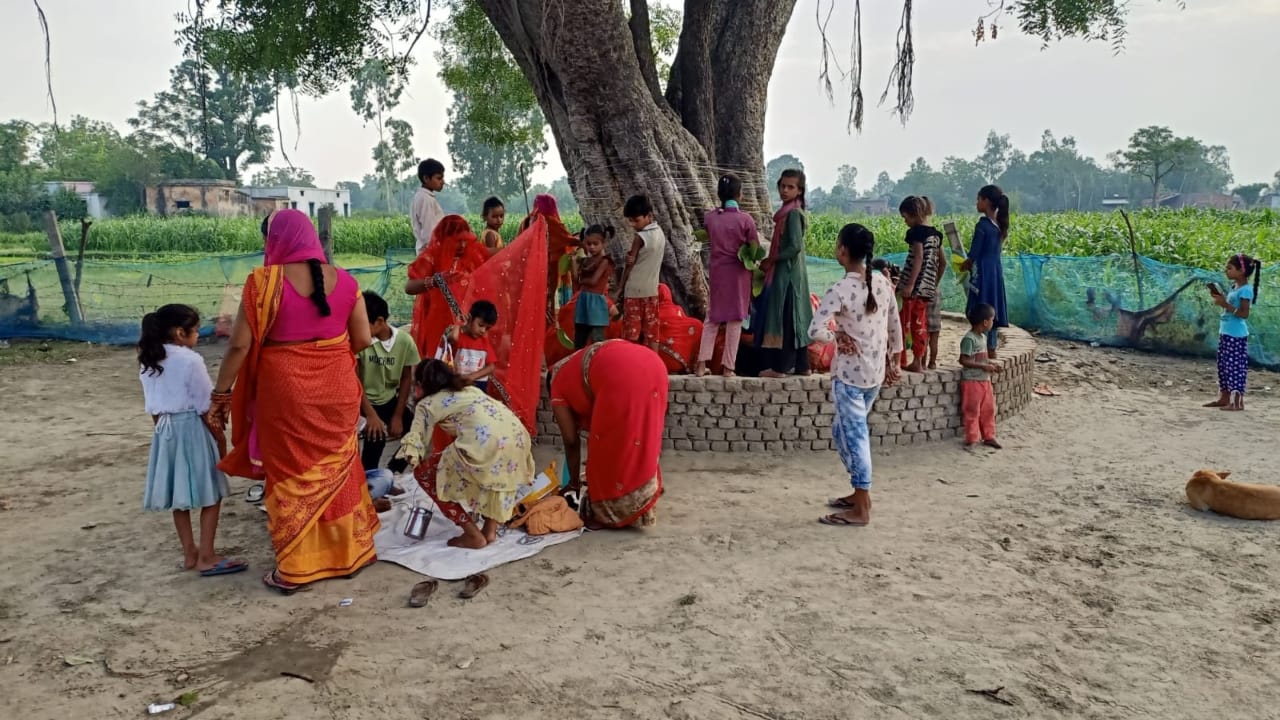 Vat Savitri Puja 2025 How to Perform the Ritual Without a Banyan or Bargad Tree Know the vidhi