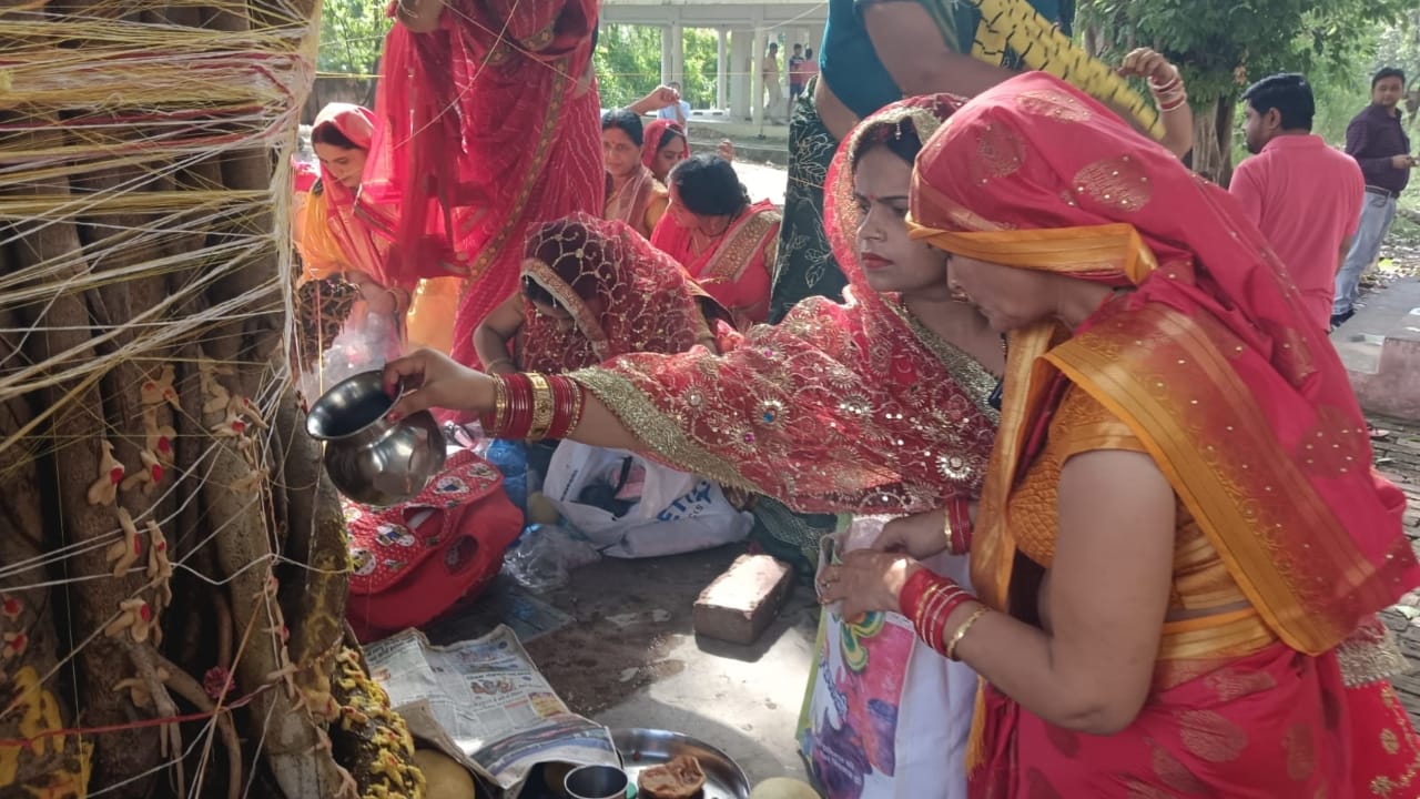 Vat Savitri Vrat 2025 Significance Know Why Married Women Worship Banyan Tree Vat Vriksh Puja