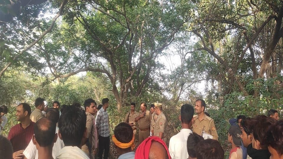 dead body of a woman found in a mango orchard in Auraiya