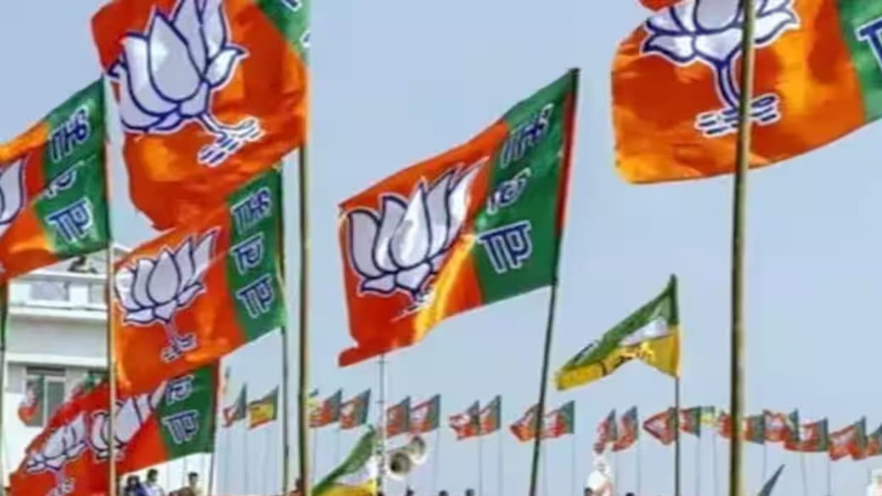 UP Lok Sabha Election: Out of 22 seats in three districts of Prayagraj division, SP won 17, BJP won only five.