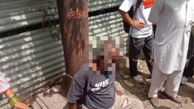 People Tied Elderly Man To Pole And Beat Him In Kapurthala – Amar Ujala Hindi News Live
