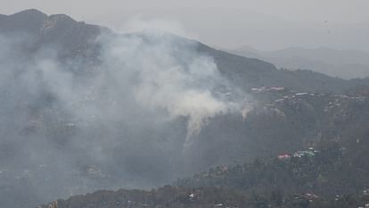 Shimla News Government residence of HRTC employees burnt in forest fire