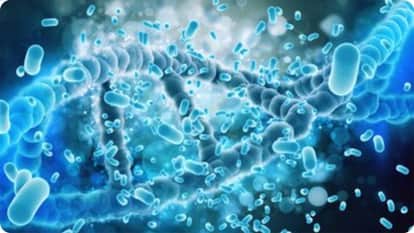 Deadly bacteria found in drinking water in Chhayasa village of Palwal