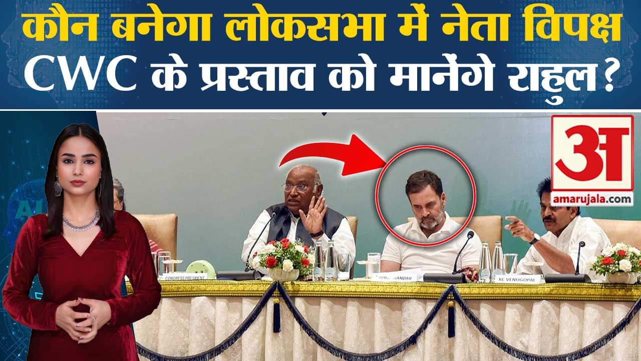 CWC Meeting: Rahul Gandhi को नेता प्रतिपक्ष बनाने का प्रस्ताव हुआ पारित, जानें राहुल ने क्या कहा।