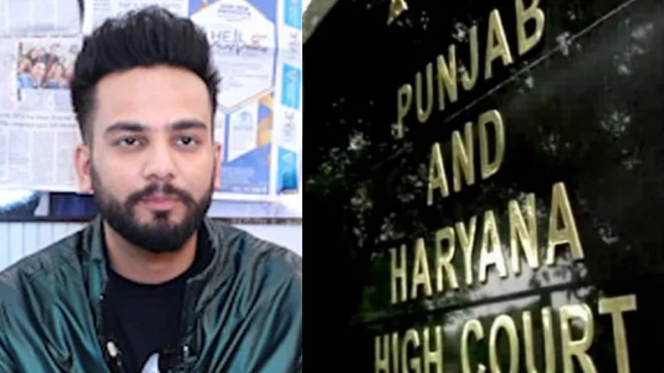 Highcourt quashes FIR on Elvish Yadav in case of attack on media influencer Sagar Thakur