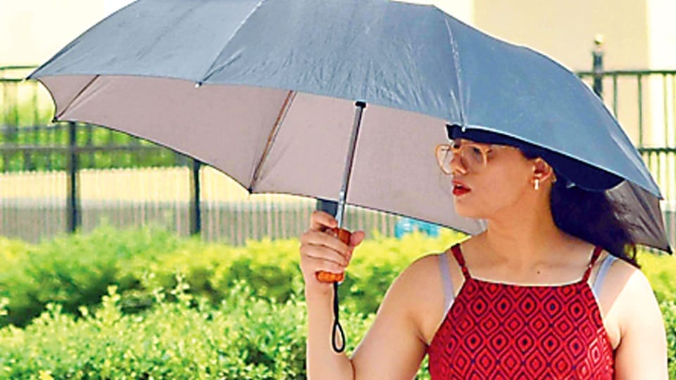 Punjab Weather Forecast Today: IMD Yellow Alert Heat Wave Warning Ludhiana Patiala Faridkot Bathinda Mausam