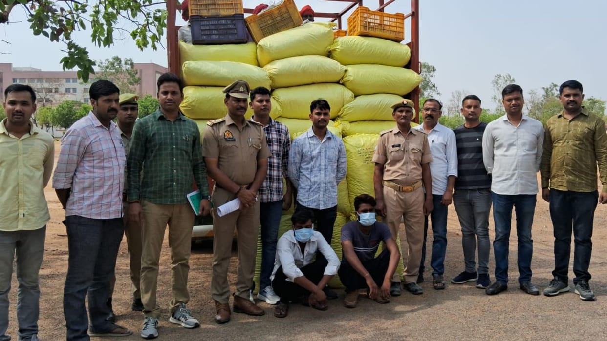 five quintals of ganja was hidden mango crates in sonbhadra two smugglers arrested