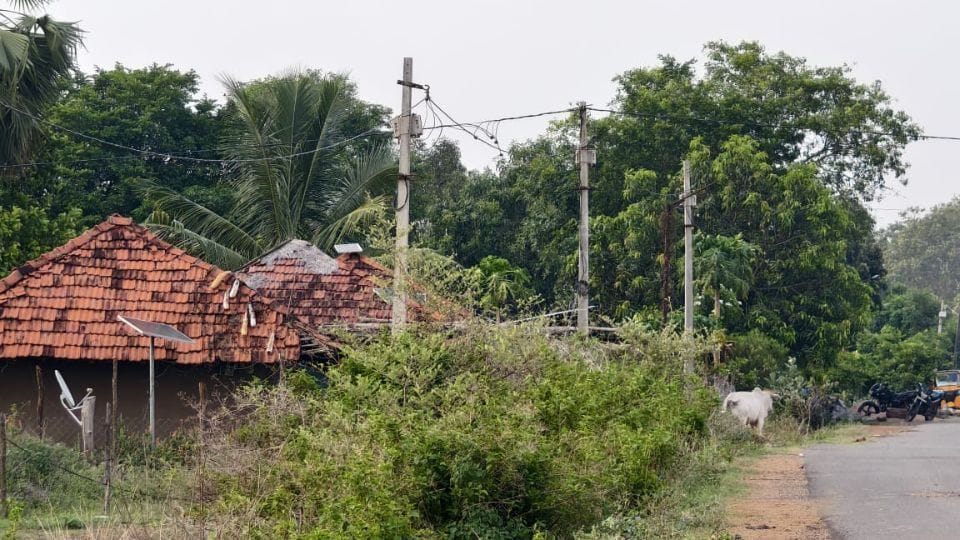 300 houses of Bijapur are being illuminated by Telangana electricity
