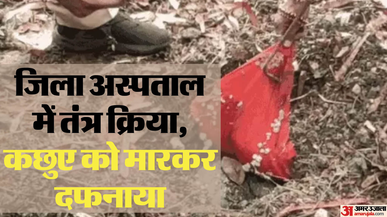 indore news Tantra Kriya The turtle was killed