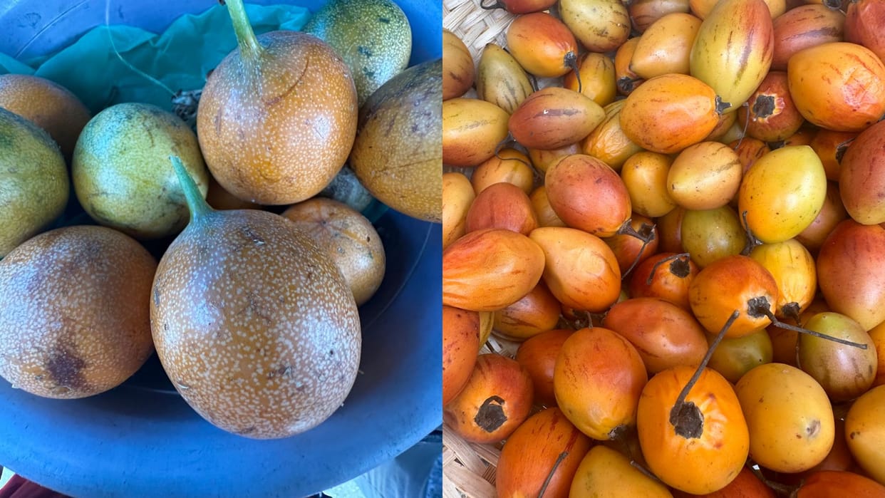 Mahakumbh of taste: Bundelkhand's plums are now increasing the sweetness of chocolates and candies