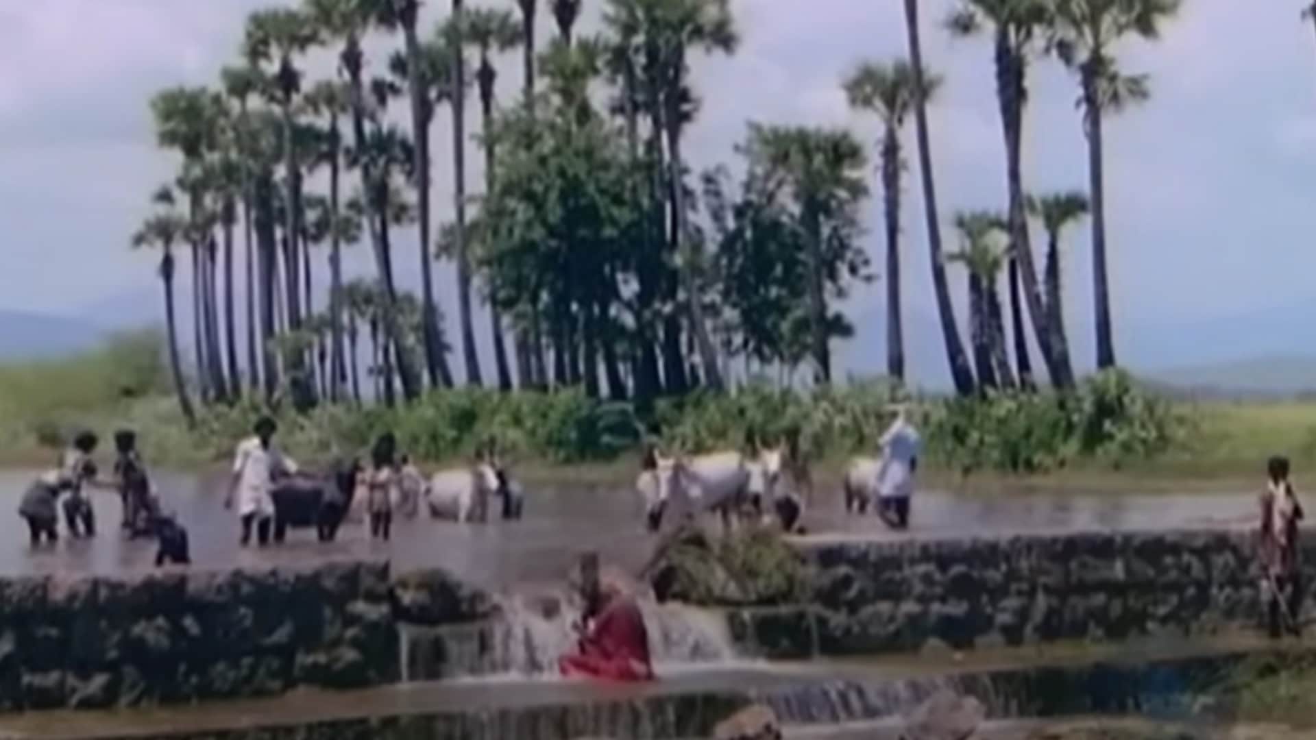 These Web Series Shows must watch for Civil Service Preparation students Panchayat Aspirants Satyamev Jayate