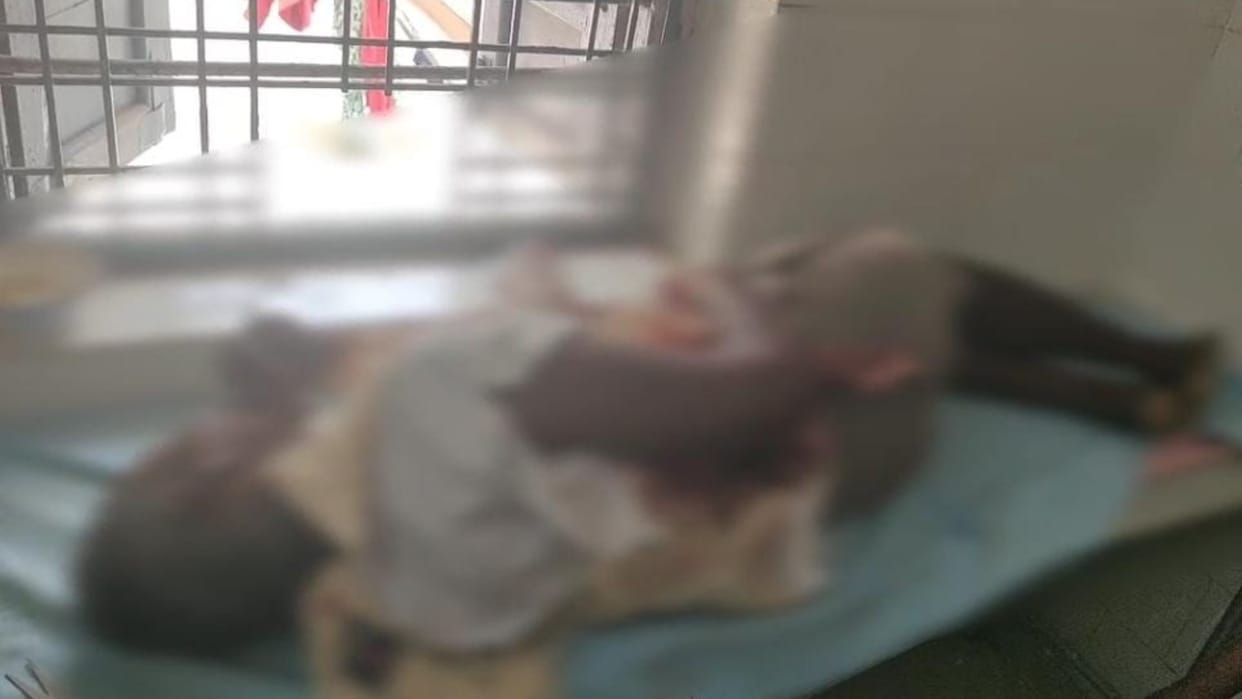 A tiger fatally attacked a youth in Umaria
