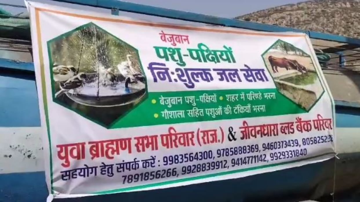 Alwar News: Service of food and water for animals, Yuva Brahmin Pariwar and Jeevan Dhara Blood Bank started