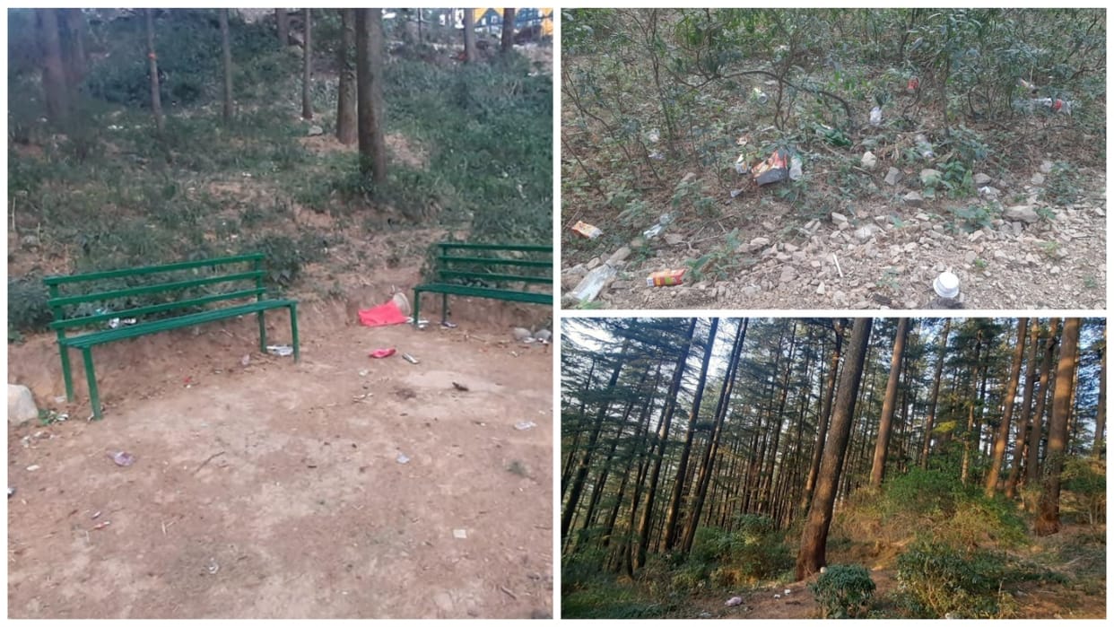 Garbage dumped in Khalini forest along with forest department building no dustbin nearby