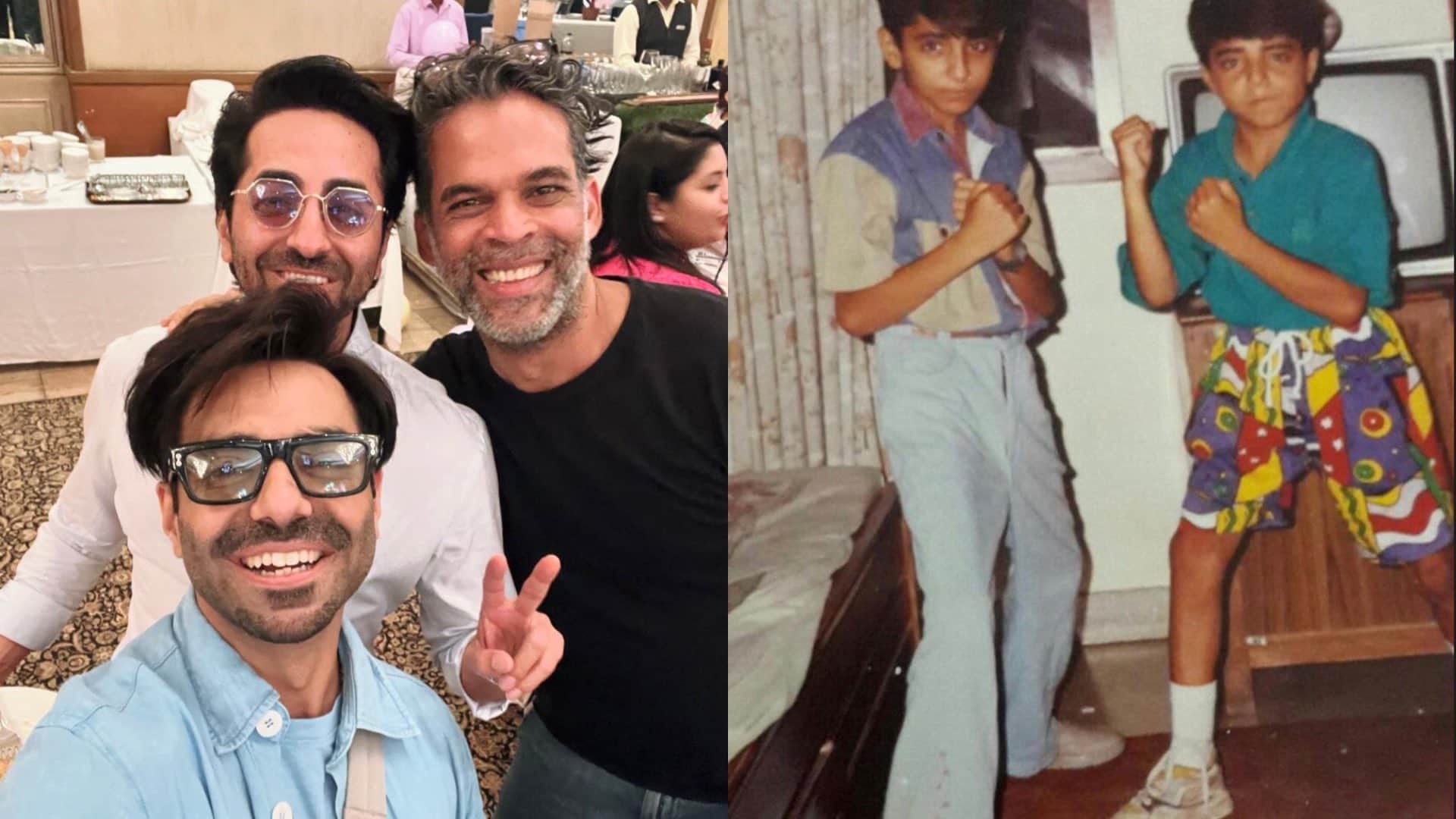 bollywood brothers duo who is ruling box office sunny deol bobby deol shahid kapoor vicky kaushal