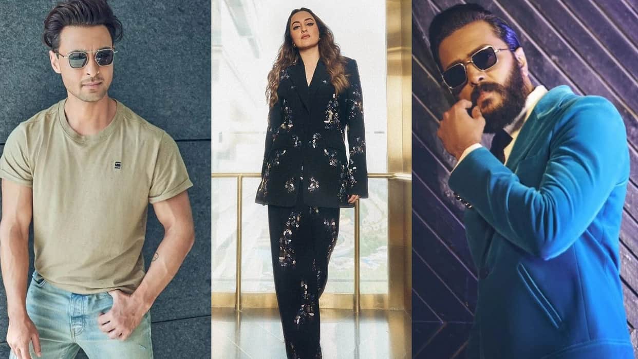 celebs belongs to political family Riteish Deshmukh Chirag Paswan Neha Sharma Aayush sharma sonakshi sinha luv