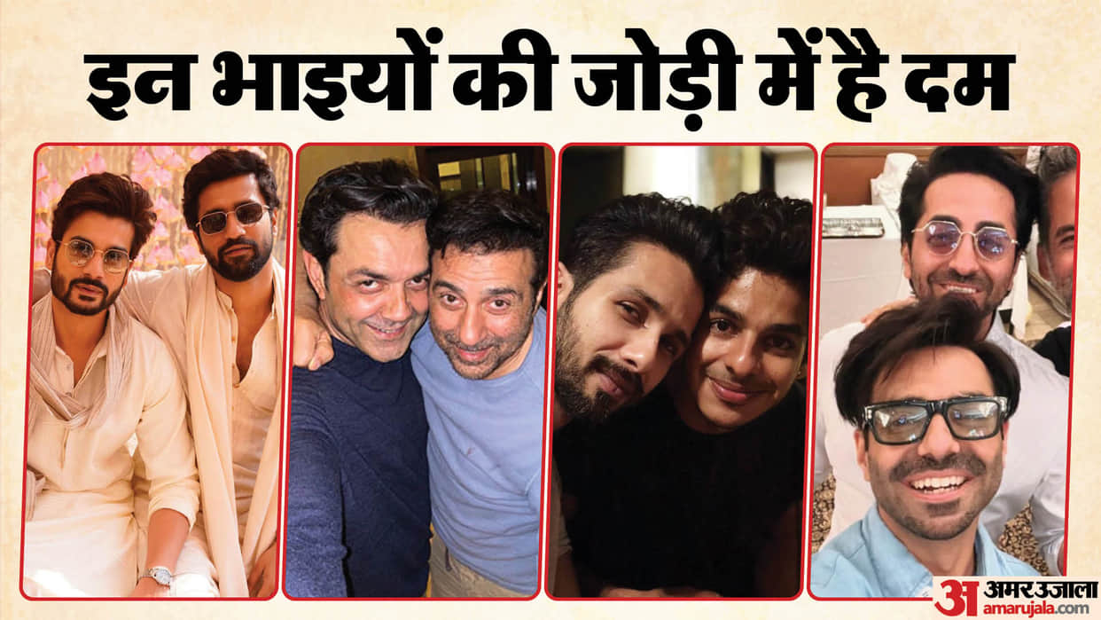 bollywood brothers duo who is ruling box office sunny deol bobby deol shahid kapoor vicky kaushal