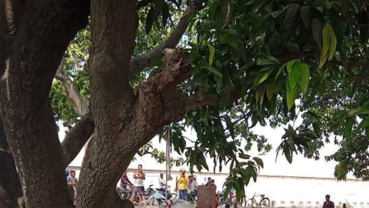 dead body of middle-aged man found hanging from tree in garden in Varanasi