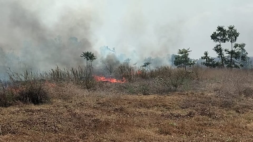 Fire broke out in closed factory on Hisar Road in Tohana
