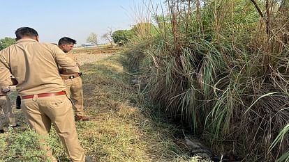 woman saw the dead body of a young man in the bushes which was infested with insects