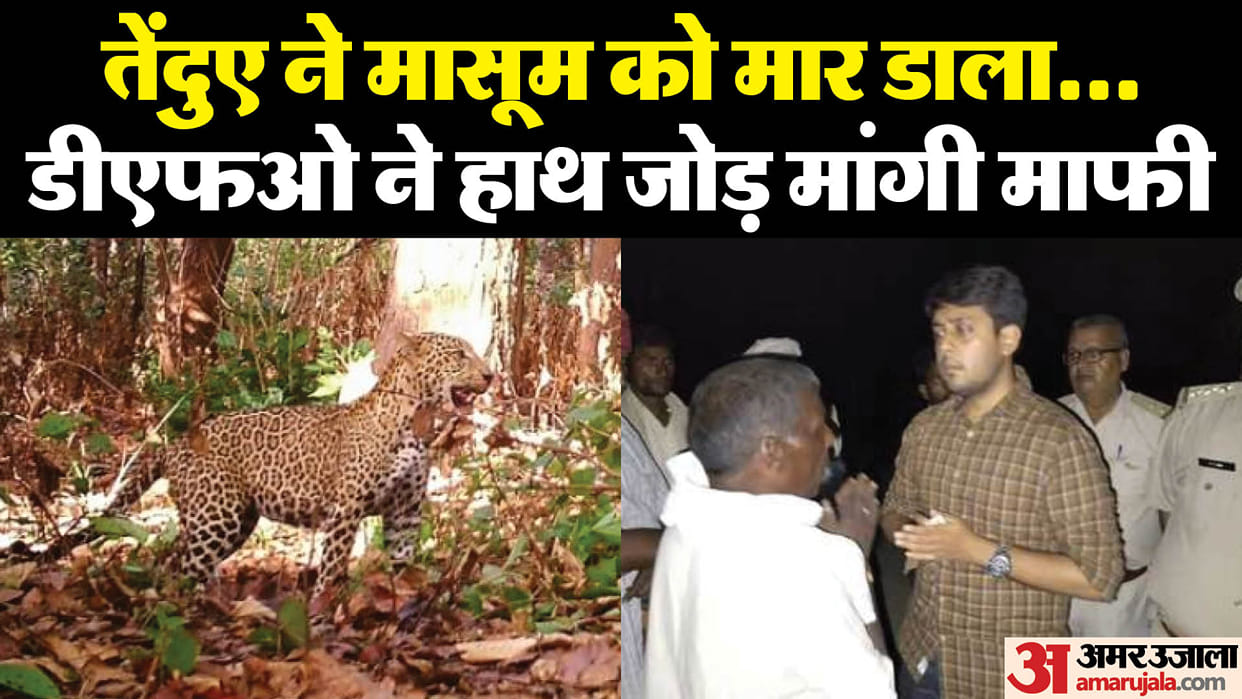 leopard entered the house and took away the girl killed her in Lakhimpur kheri