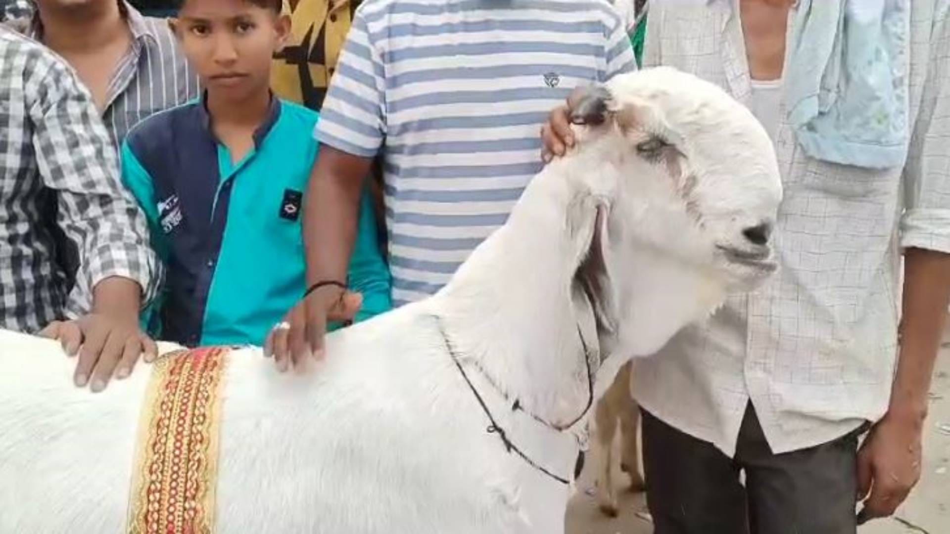 बकरा
