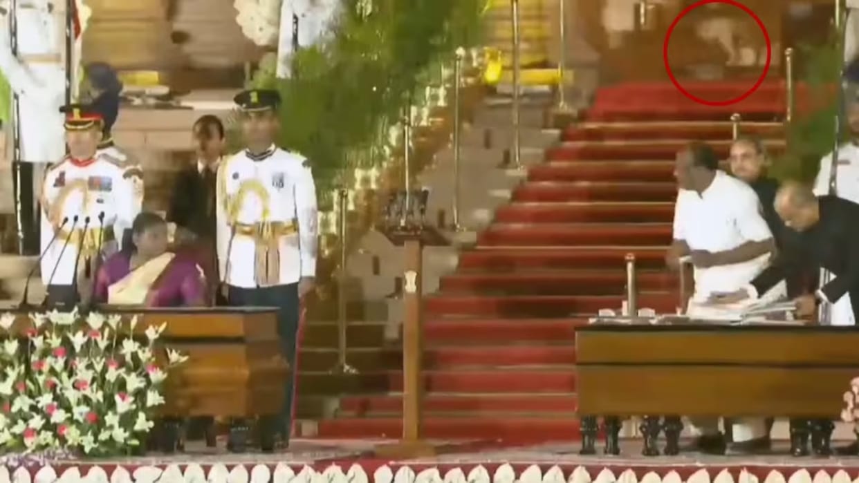 Viral Video: Mysterious animal spotted strolling in Rashtrapati Bhavan amid oath taking ceremony
