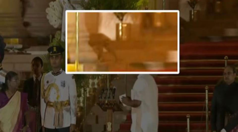 Delhi Police clarifies mysterious animal seen at PM Narendra Modi swearing in ceremony at Rashtrapati Bhavan