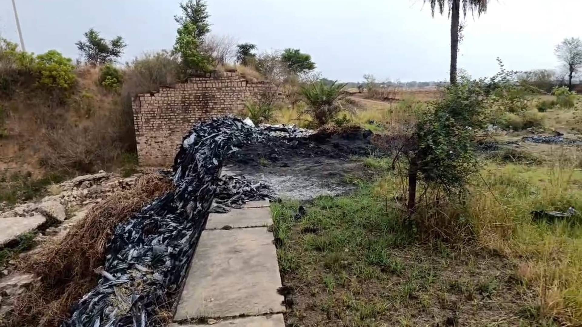तालाब पर दबंगों का कब्जा