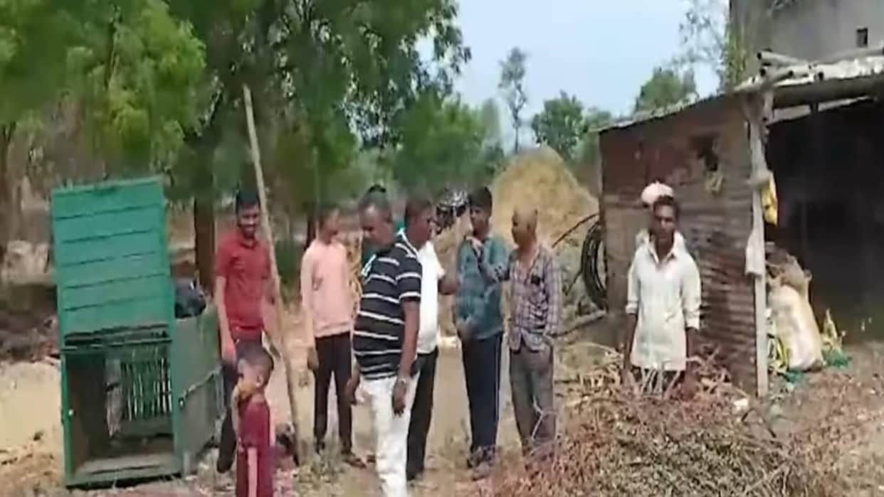 Barwani News Leopard hunted a pet dog at place where cage has been installed for a year
