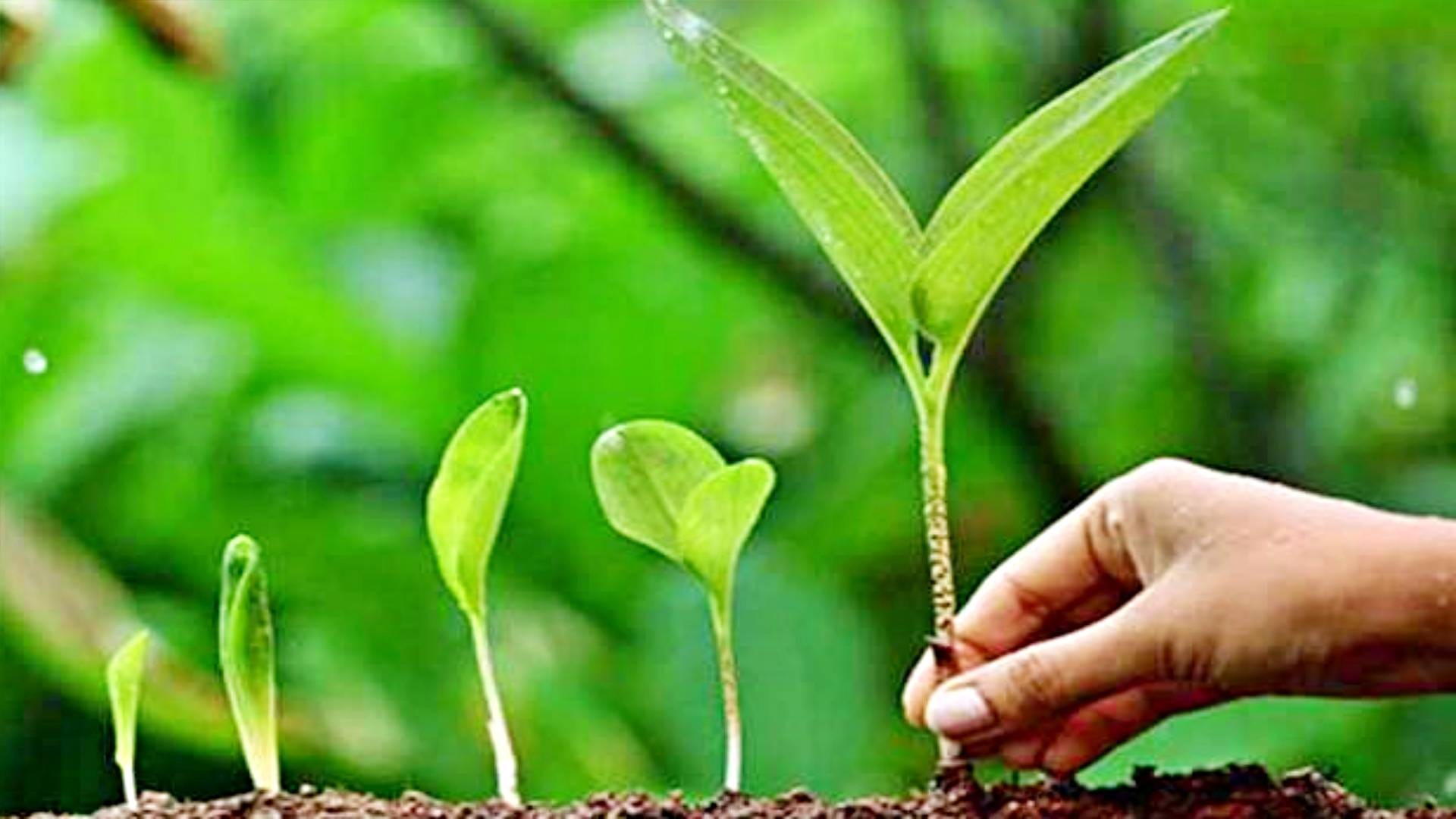 सांकेतिक तस्वीर