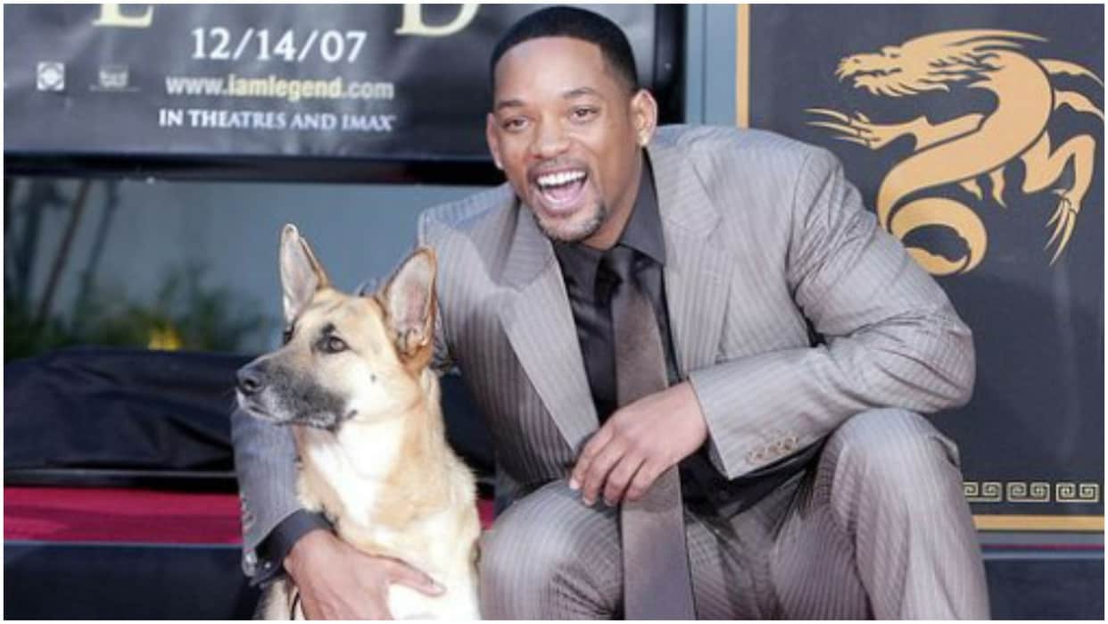 Bad Boys Ride or Die Fame Will Smith Tried To I Am Legend Dog Co-Star Adopt Said Abbey is A Brilliant Actress