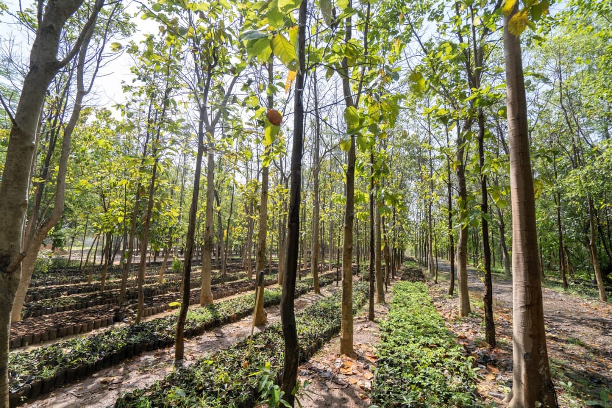 Forest workers will be equipped with bulletproof jackets and modern weapons in haldwani