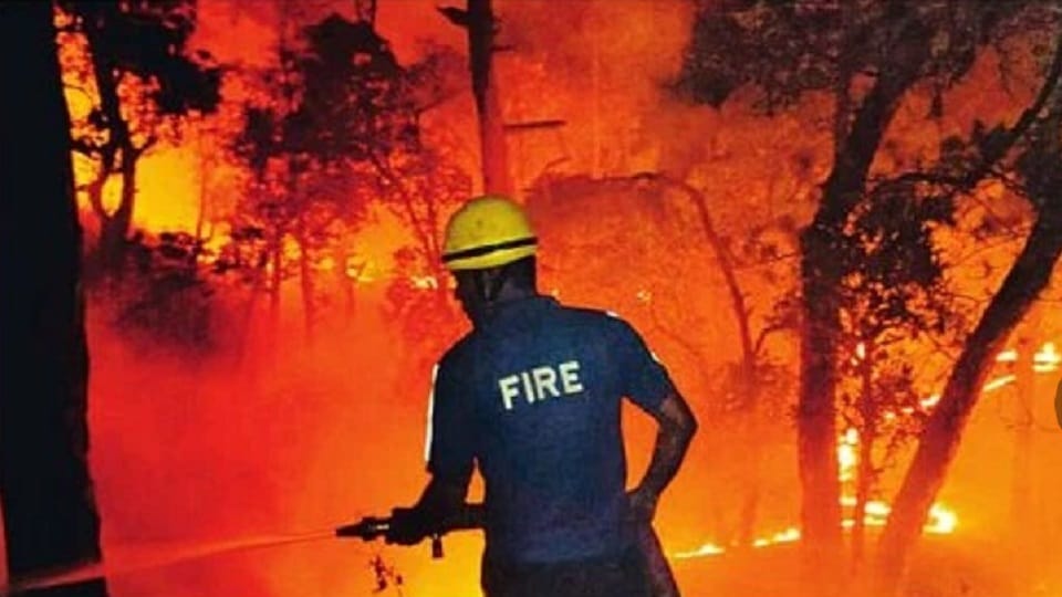 Uttaralhand Forest Fire: Kumaon forests blaze again