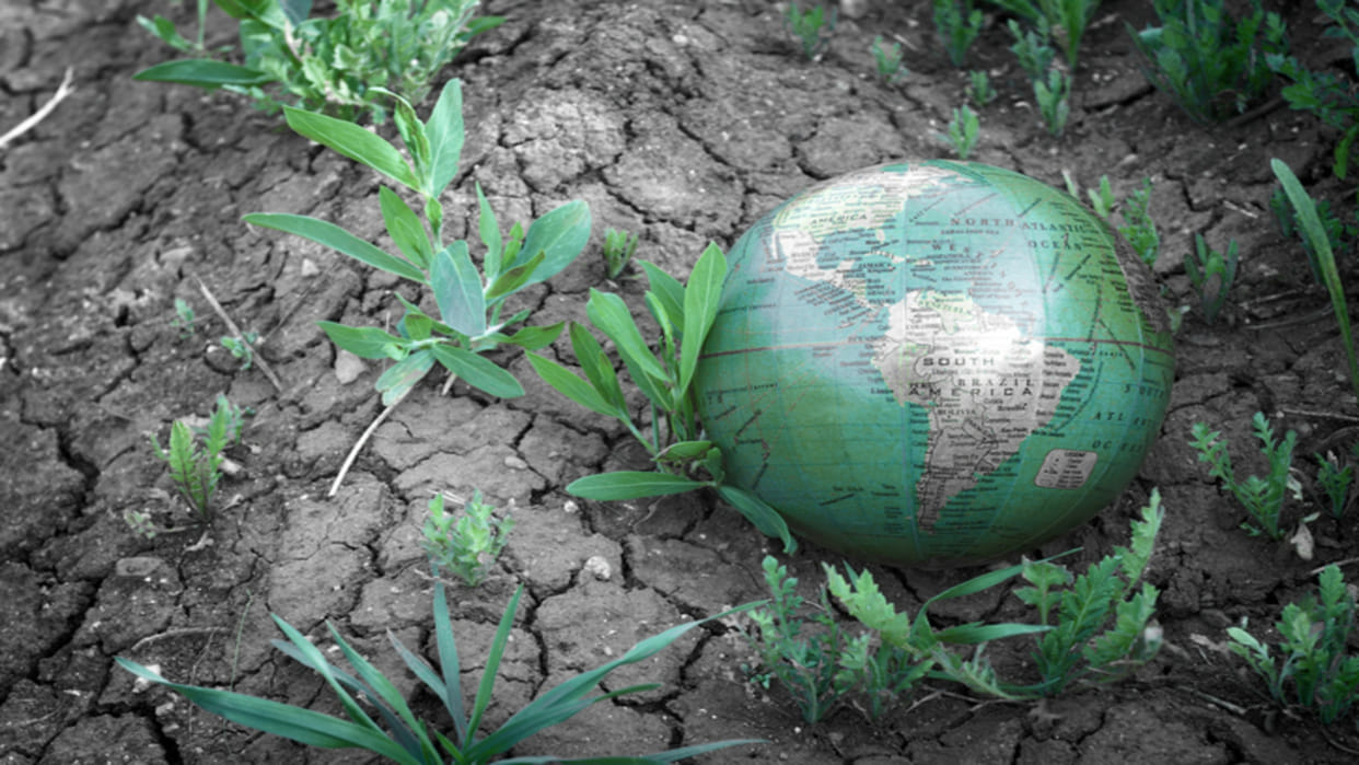 COP29: India and other developing countries demand fair climate finance commitments news in hindi