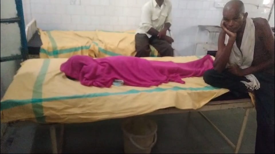 डोमी सांप के काटने से बच्ची की मौत