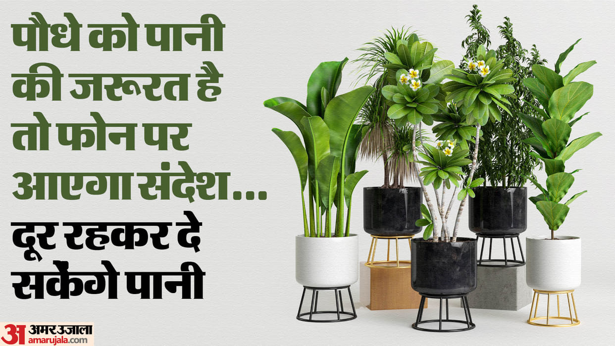 Censors will help to water plants when its needed.